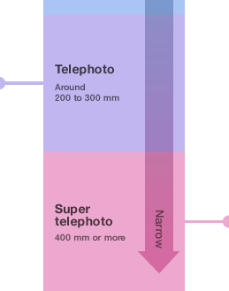 Telephoto Around 200 to 300mm Super telephoto 400mm or more