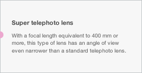 Super telephoto lens With a focal length equivalent to 400 mm or more, this type of lens has an angle of view even narrower than a standard telephoto lens.