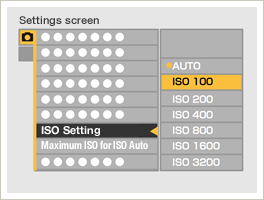 What is ISO Sensitivity?