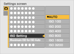 ISO Setting