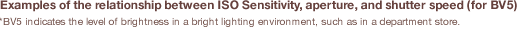 Examples of the relationship between ISO Sensitivity, aperture, and shutter speed (for BV5) *BV5 indicates the level of brightness in a bright lighting environment, such as in a department store. 