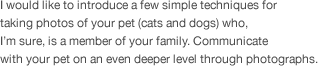 I would like to introduce a few simple techniques for  taking photos of your pet (cats and dogs) who,  I’m sure, is a member of your family. Communicate  with your pet on an even deeper level through photographs.