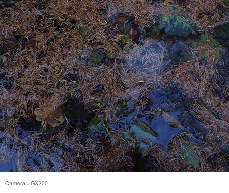 The colors of the sky reflected  in a puddle