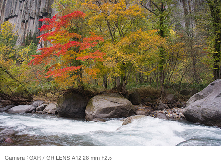 Making vivid trees stand out