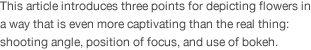 This article introduces three points for depicting flowers in a way that is even more captivating than the real thing: shooting angle, position of focus, and use of bokeh.