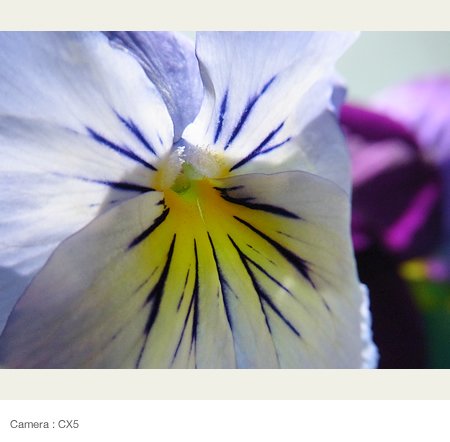 Backlight [1] : Recommend