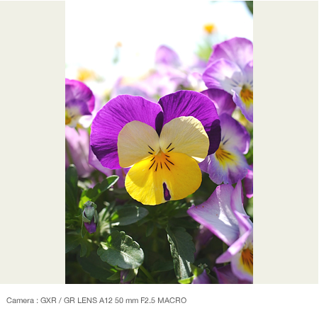 Backlight [2] : Recommend