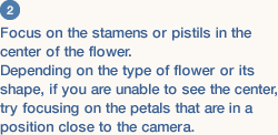 2 Focus on the stamens or pistils in the center of the flower.  Depending on the type of flower or its shape, if you are unable to see the center, try focusing on the petals that are in a position close to the camera. 