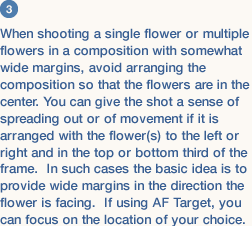 3 When shooting a single flower or multiple flowers in a composition with somewhat wide margins, avoid arranging the composition so that the flowers are in the center. You can give the shot a sense of spreading out or of movement if it is arranged with the flower(s) to the left or right and in the top or bottom third of the frame.  In such cases the basic idea is to provide wide margins in the direction the flower is facing.  If using AF Target, you can focus on the location of your choice. 