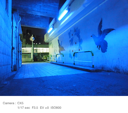 An underground passage lit with a blue security light (capturing just the place)