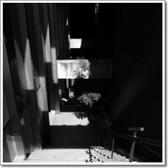 Sample photo: B.JPG