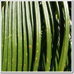 Sample photo: E.JPG