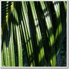 Sample photo: F.JPG
