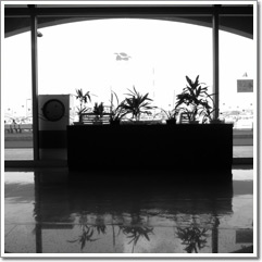 Sample photo: C.JPG