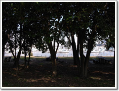 Sample photo: E.JPG