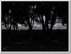 Sample photo: F.JPG