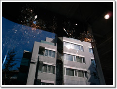 Sample photo: D.JPG