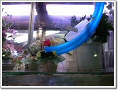 Sample photo: A.JPG