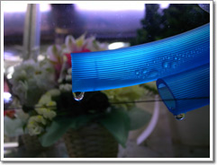 Sample photo: B.JPG