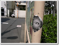 Sample photo: C.JPG