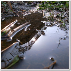 Sample photo: F.JPG