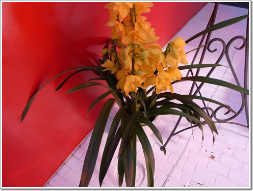 Sample photo: Door-2.JPG