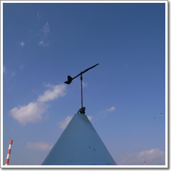 Sample photo: D.JPG