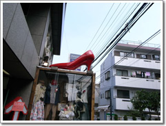 Sample photo: ER.JPG