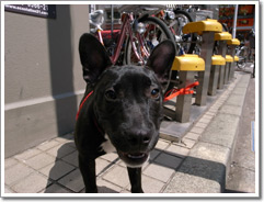 Sample photo: D.JPG
