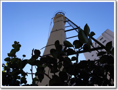 Sample photo: FL.JPG