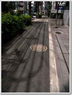 Sample photo: F.JPG