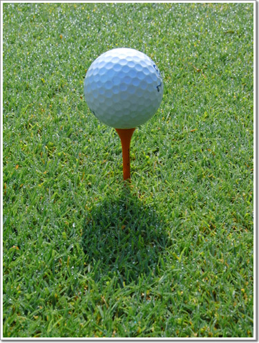 Sample photo