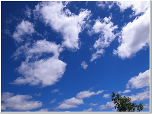 Sample photo