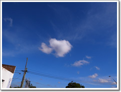 Sample photo