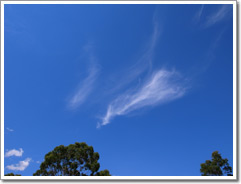 Sample photo
