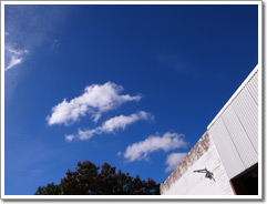 Sample photo