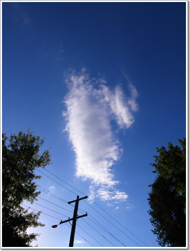 Sample photo