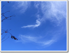 Sample photo