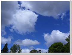 Sample photo