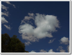 Sample photo
