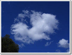 Sample photo