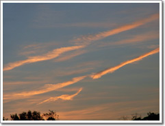Sample photo