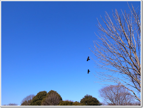 Sample photo