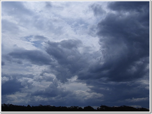 Sample photo