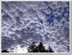 Sample photo