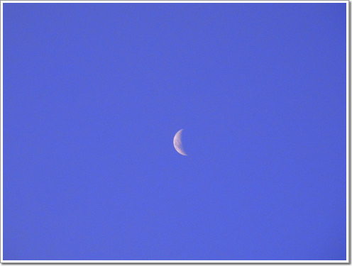 Sample photo
