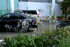 Sample photo