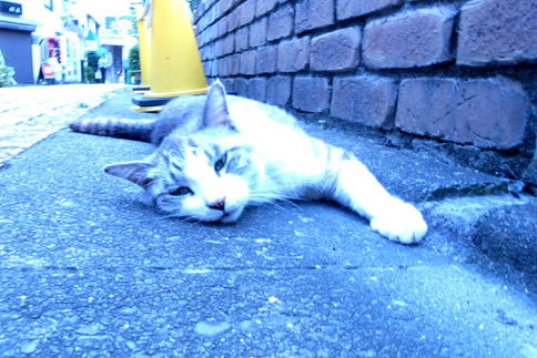 Sample photo
