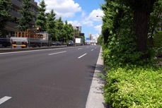 Sample photo