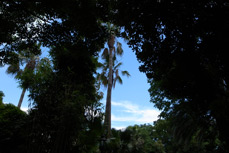 Sample photo